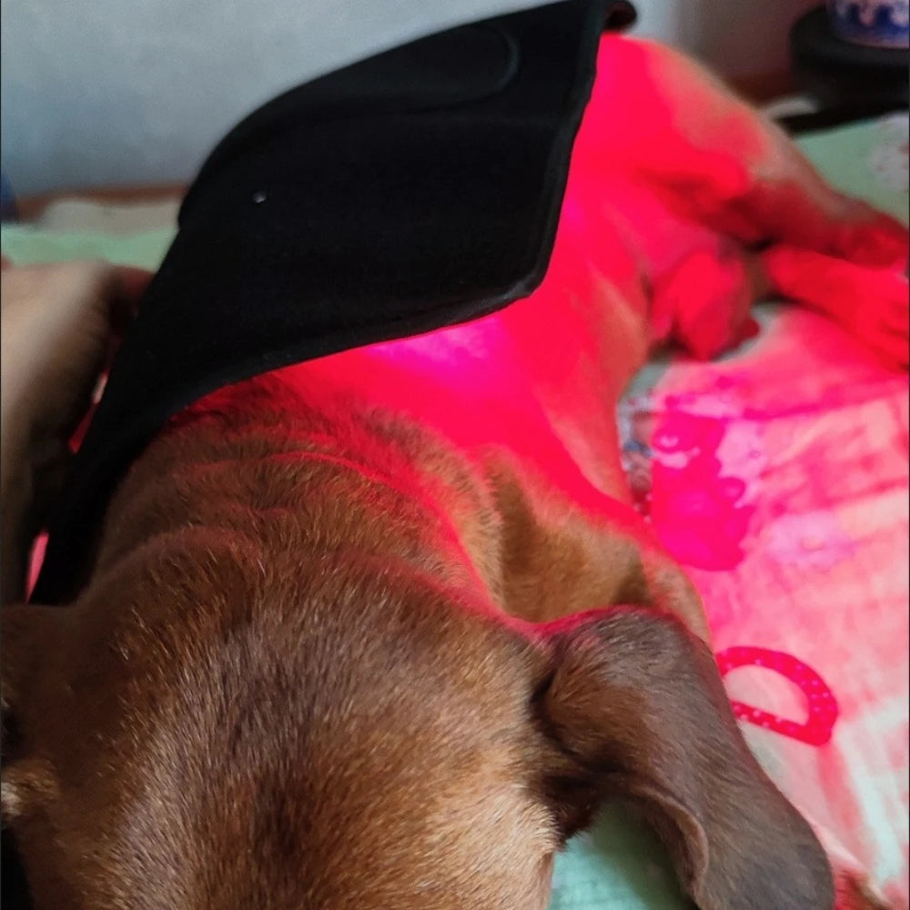 Pet Red Light Therapy Device