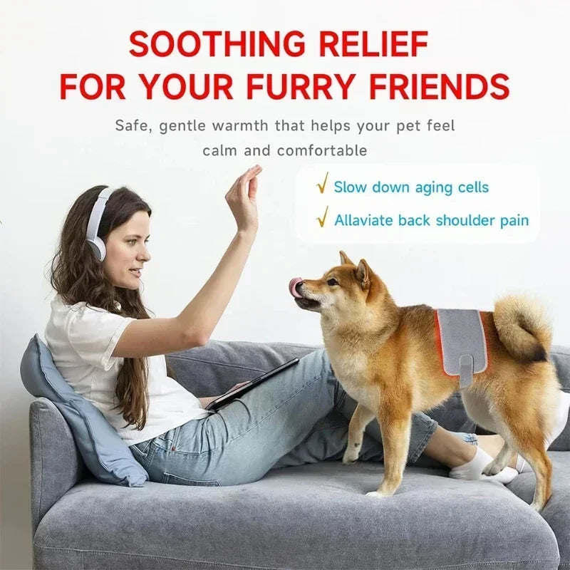 Pet Red Light Therapy Device
