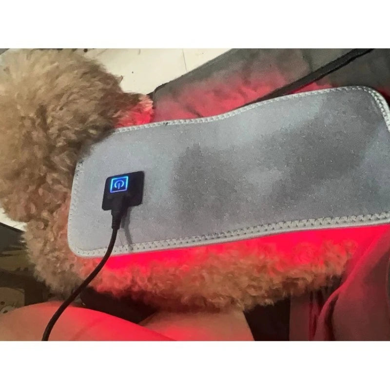 Pet Red Light Therapy Device