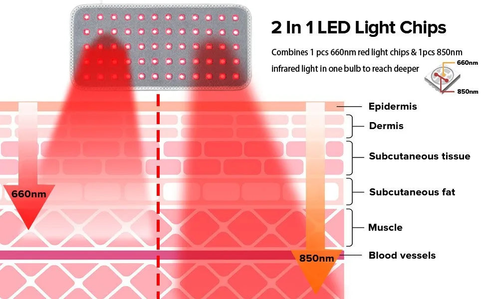 Pet Red Light Therapy Device