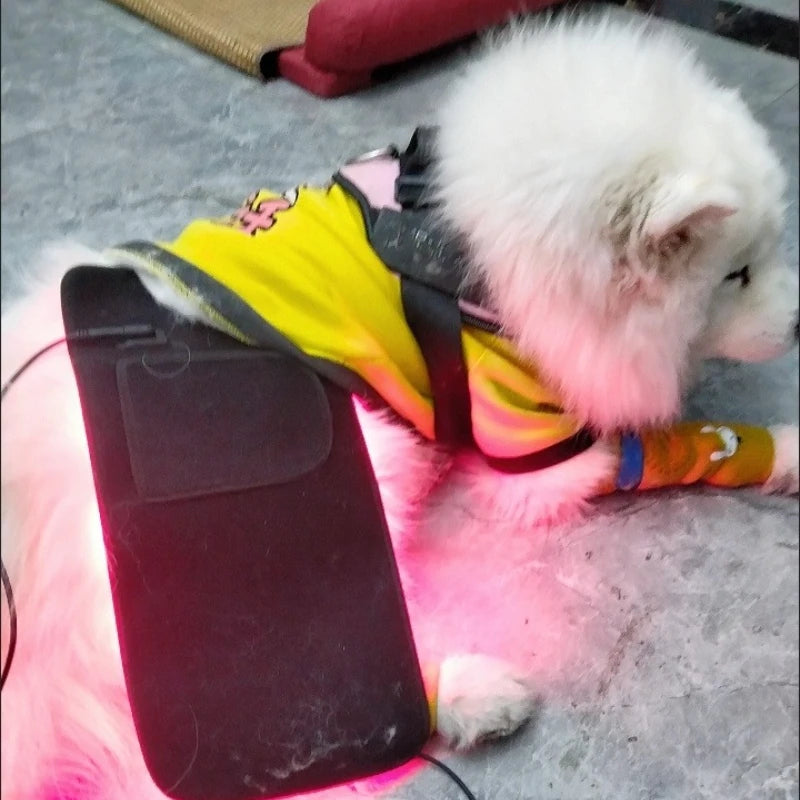 Pet Red Light Therapy Device