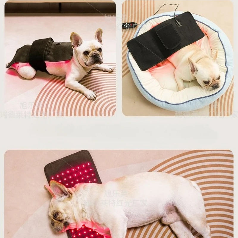 Pet Red Light Therapy Device