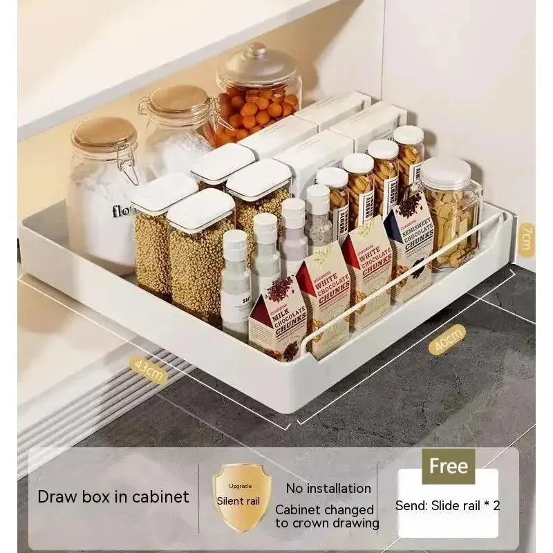 Slide-Out Kitchen Cabinet Organizer