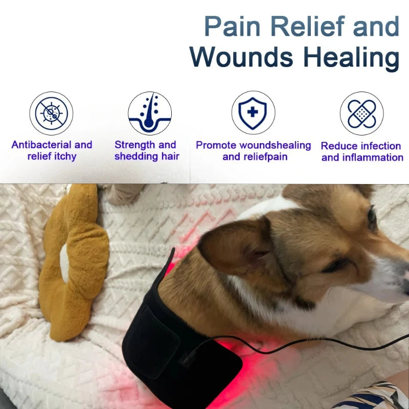 Pet Red Light Therapy Device